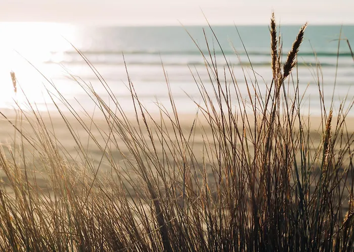 Apartmanhotel West Bay Middelkerke